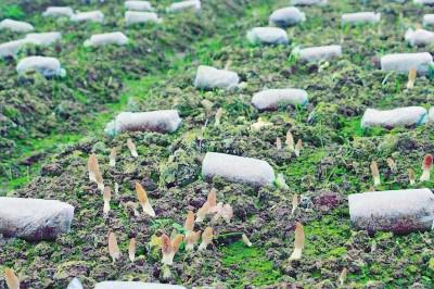 1649035603823825.jpeg 13-05-04-32-283825.jpeg