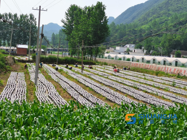 1649381374160502.png 16-54-38-27-283825.png