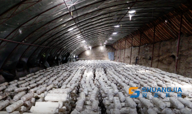 1650249852150047.png 09-54-28-26-283825.png