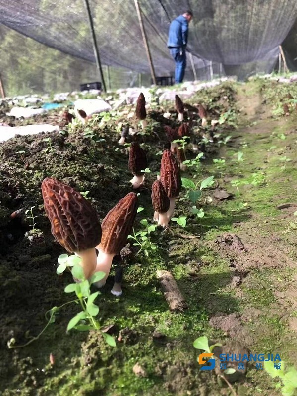 1650417789138117.jpg 11-48-01-10-283825.jpg