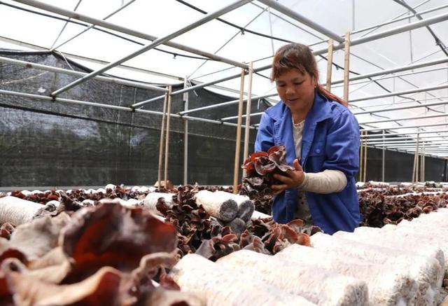 1650504365821552.jpeg 11-45-44-49-283825.jpeg