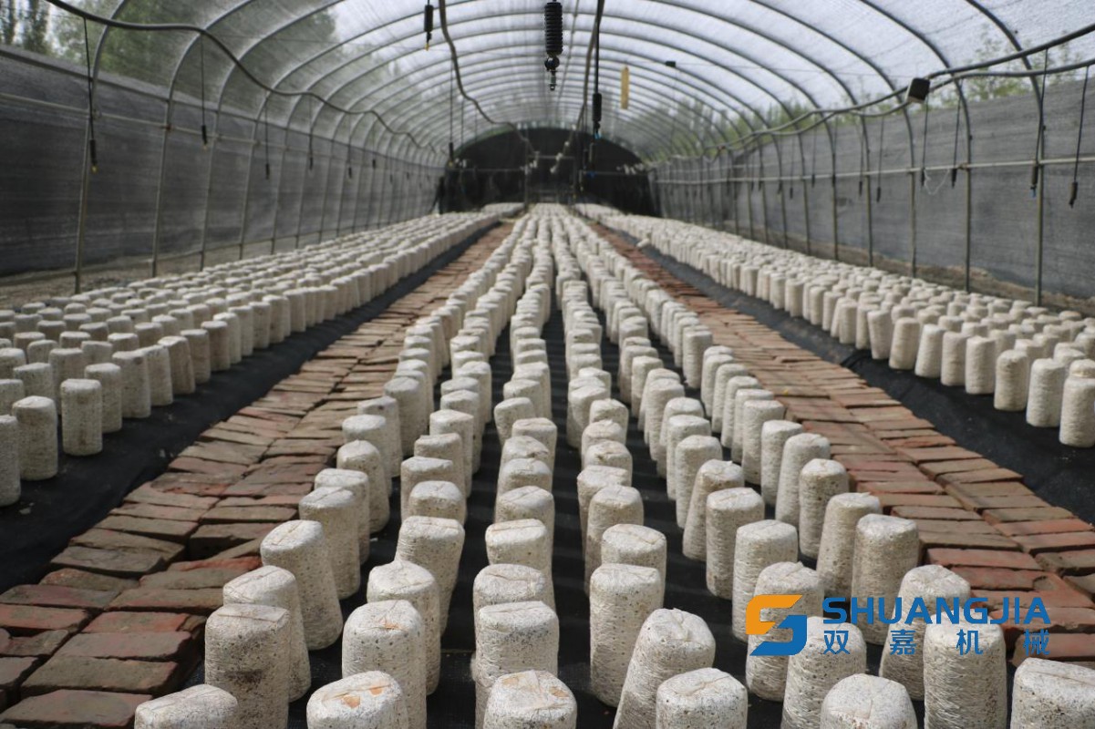 1650587642105954.jpg 17-04-46-57-283825.jpg