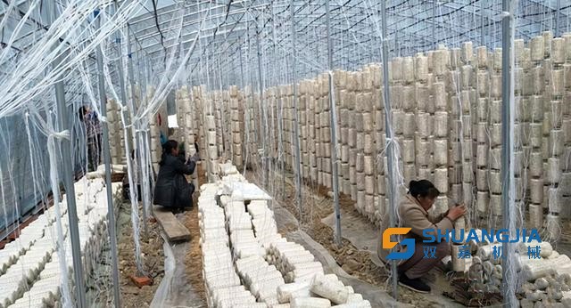 1650936867189658.jpg 11-59-18-66-283825.jpg