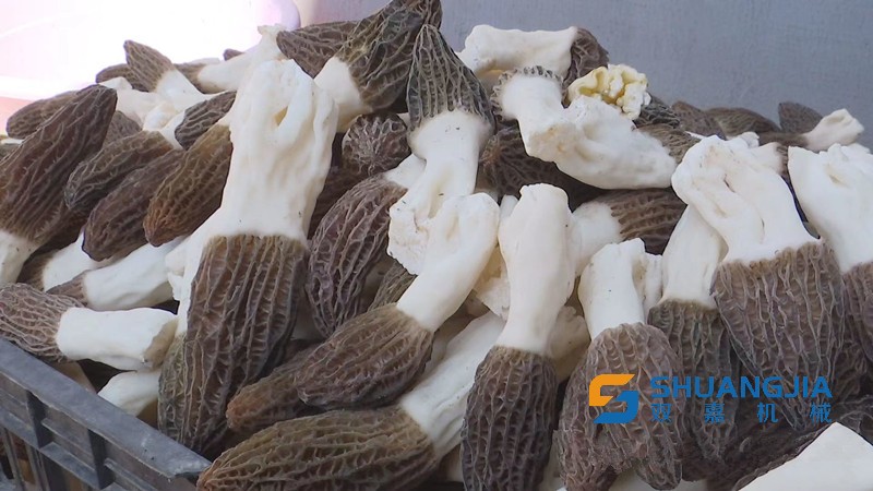 1651458636194797.jpg 15-27-56-40-283825.jpg