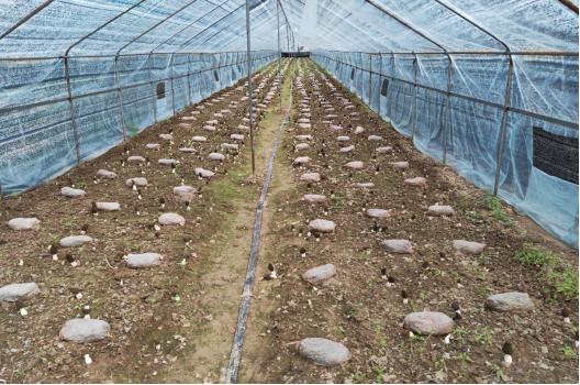 1652406575892532.jpeg 15-51-38-58-283825.jpeg