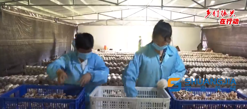 1652579360173843.png 1000.png