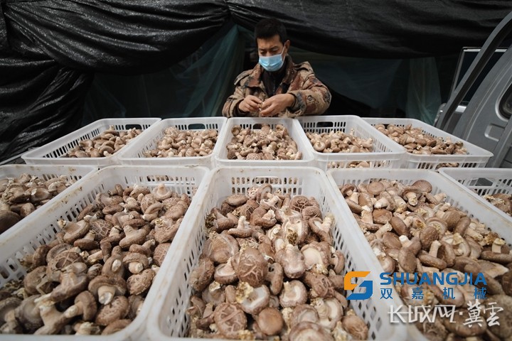 1652665259101975.jpg 1000 (1).jpg