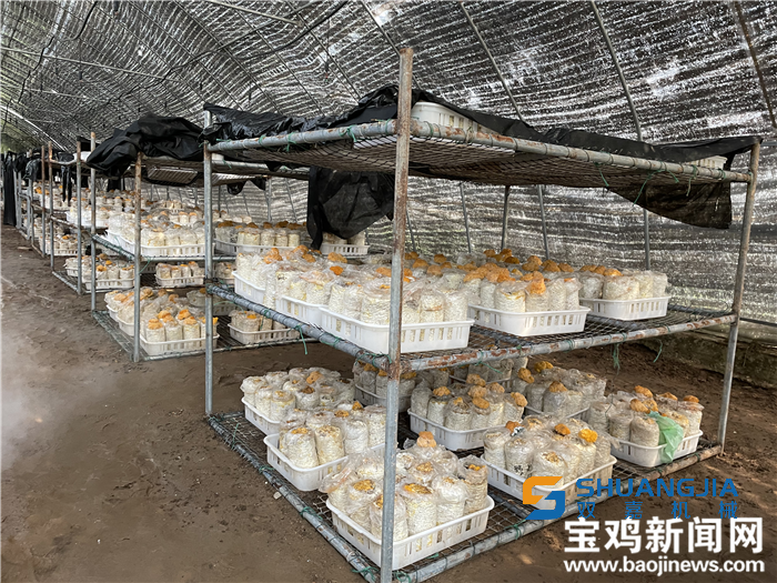 1652752454204990.png 16-48-26-94-283825.png