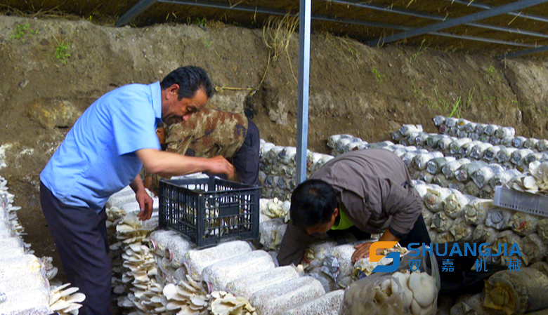 1653186121130984.png 12-26-00-81-283825.png