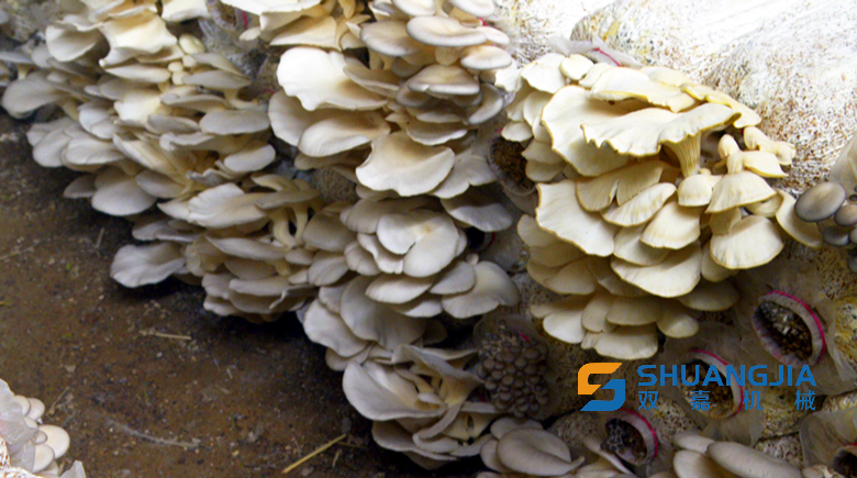 1653186140705863.png 12-26-17-69-283825.png