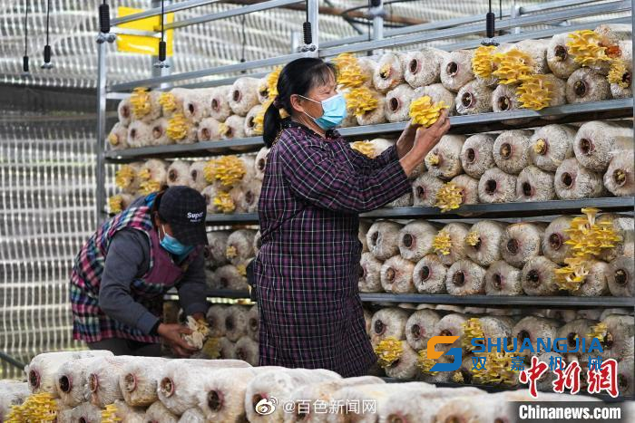 1680688432991102.png 10-39-25-44-451102.png