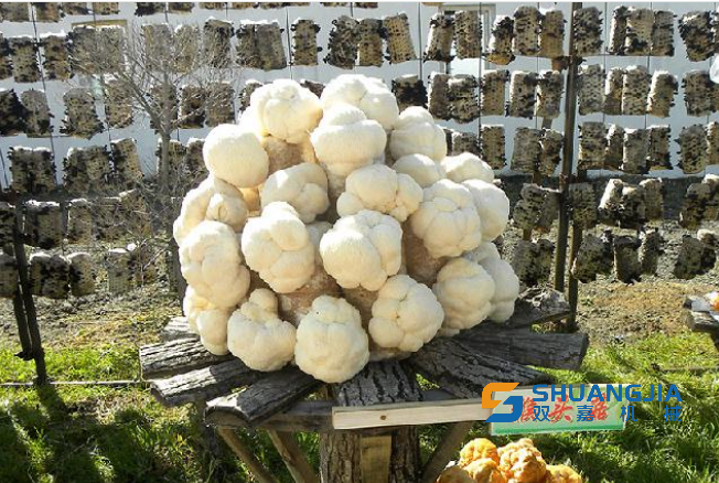 1681546705386449.png 11-28-16-11-451102.png